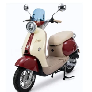 FIRMAN EF1000A - AURA - ELECTRIC BIKE