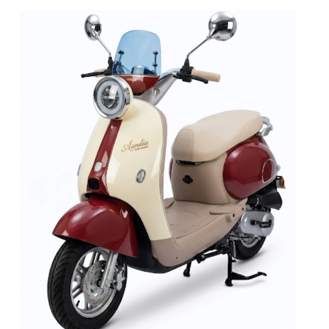 FIRMAN EF1000A - AURA - ELECTRIC BIKE