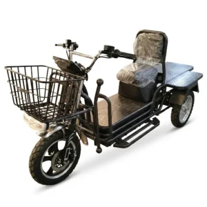 FIRMAN EF1500D - TITAN CARGO E-BIKE